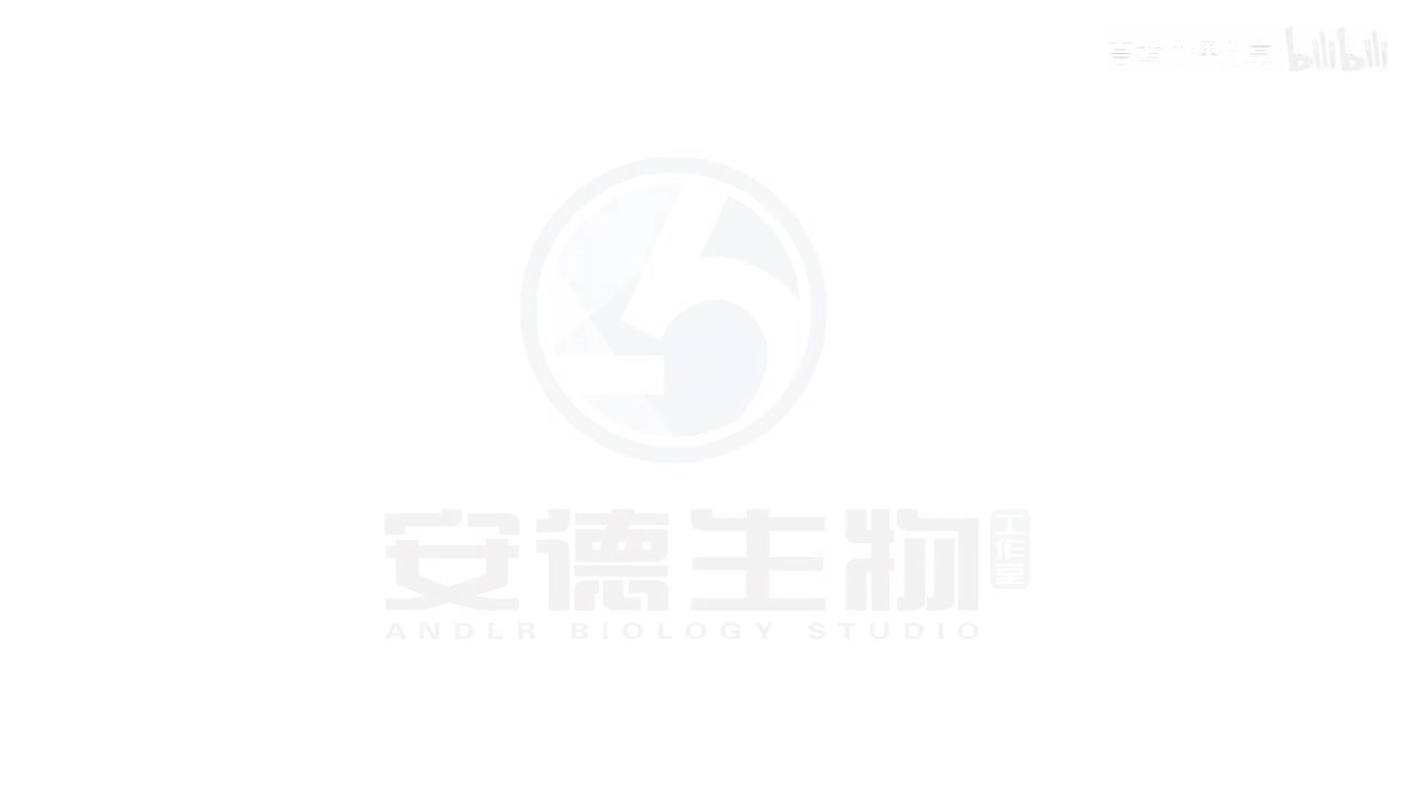 11.细胞分裂图像类题