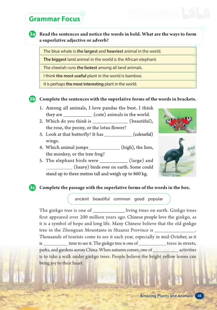 Unit 4 (p.35)语法聚焦