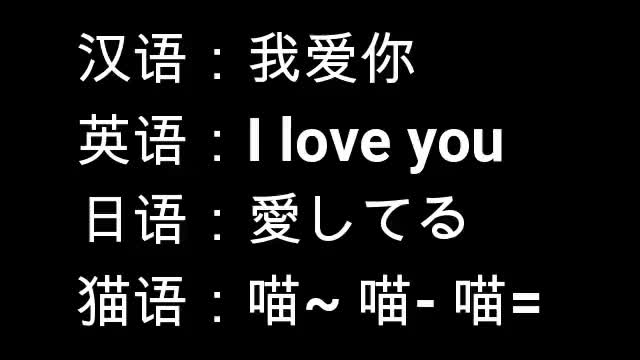 Endless Wooden Roller Coaster我爱你