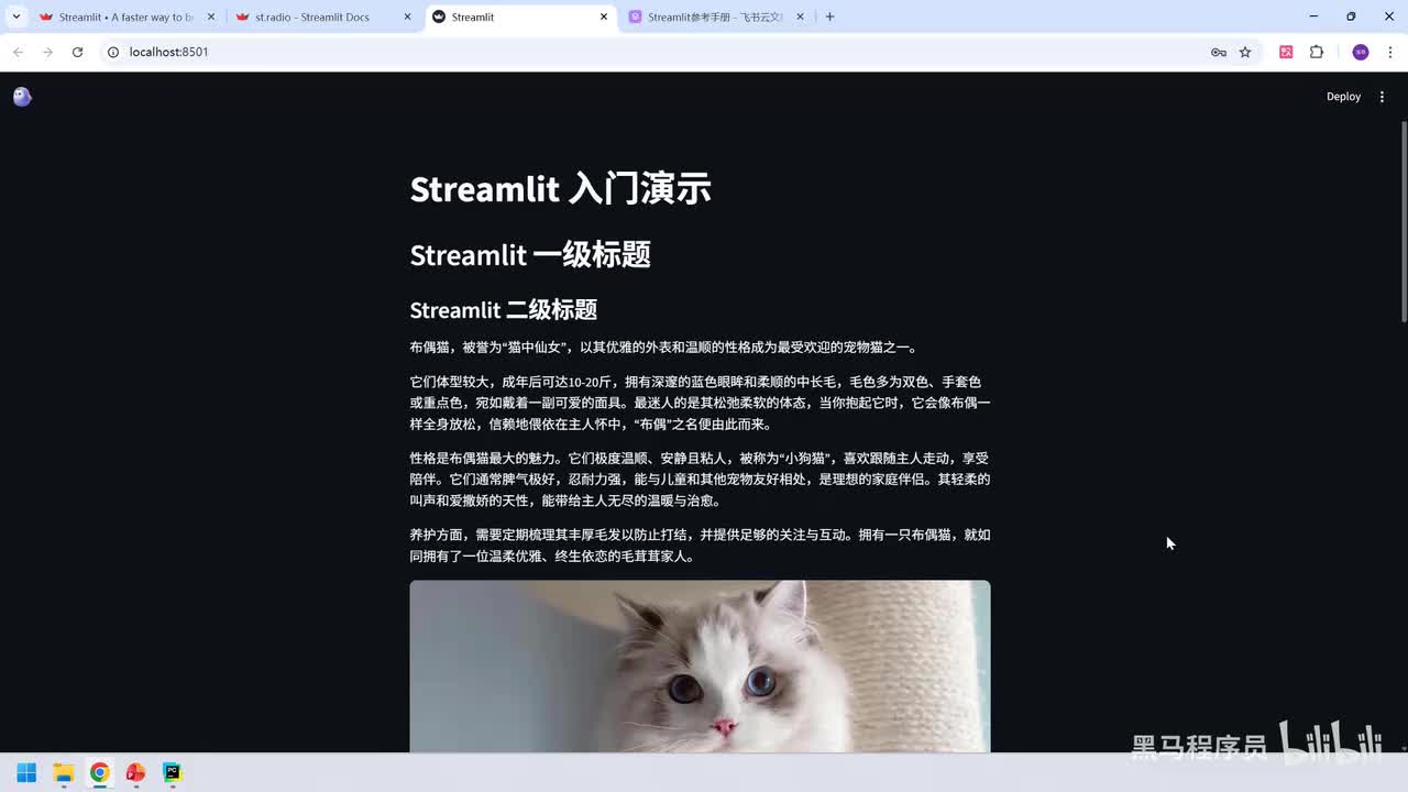 102. AI应用-实战-streamlit页面设置