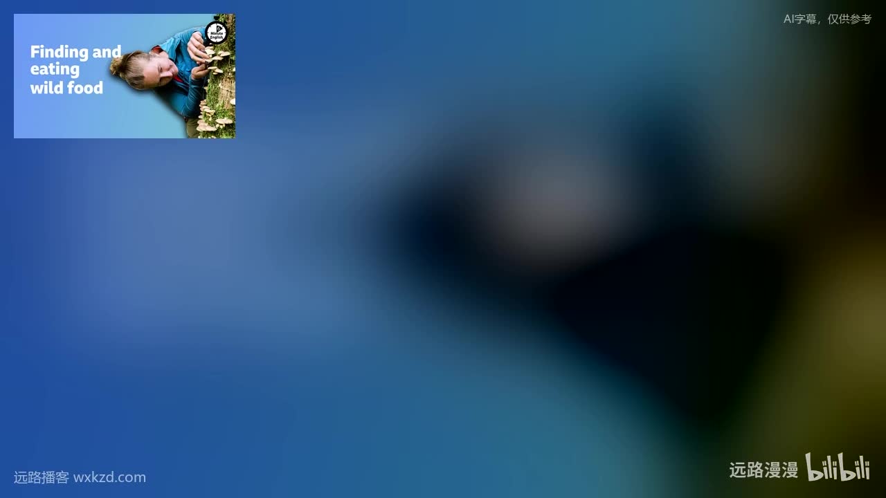 251218 - Finding and eating wild food