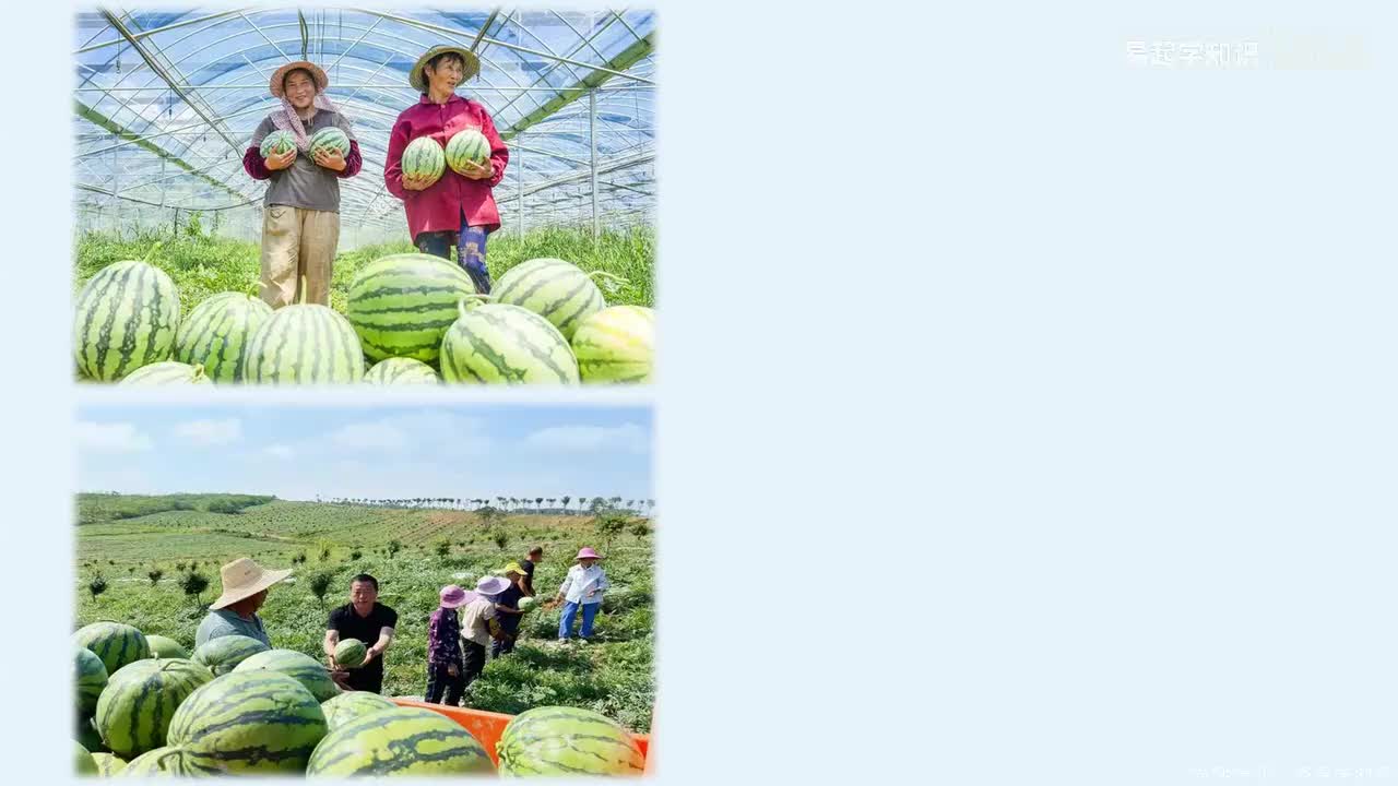 在奉献中成就精彩人生 复刻PPT（讲课部分）