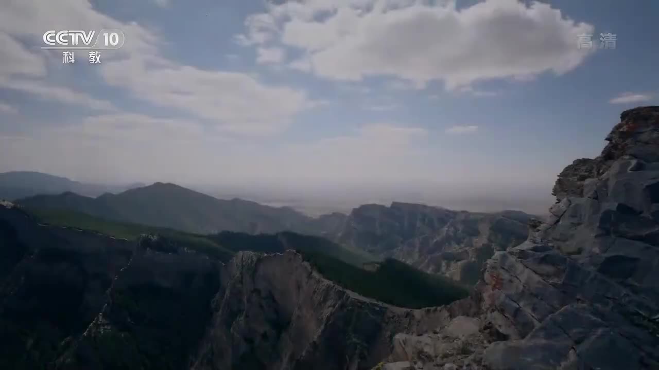 【第六集】共生