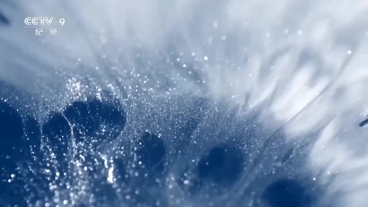 第2集：秦朝士兵铠甲下的颜色之谜