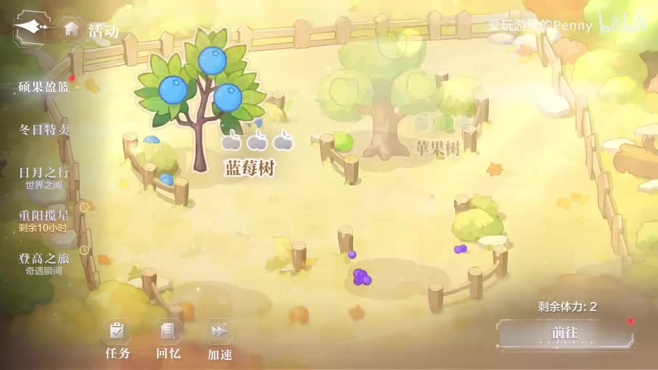 【活动】硕果盈篮