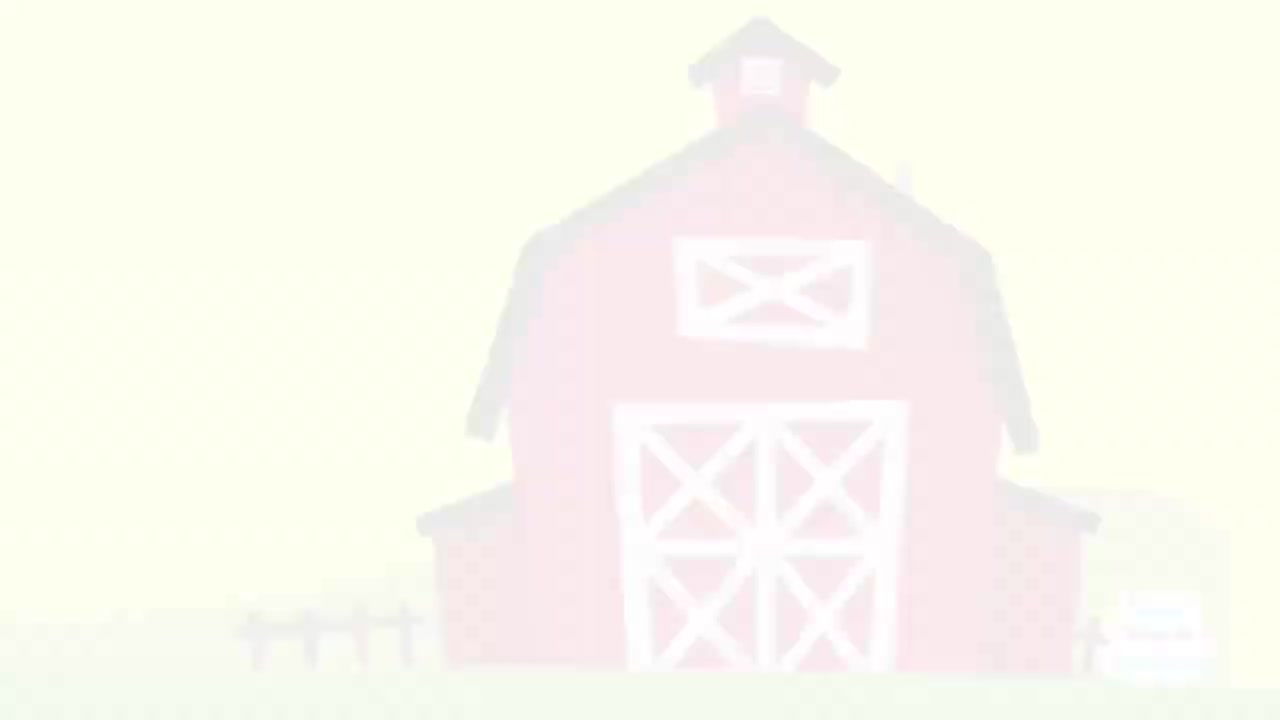 29.BINGO 小狗宾果