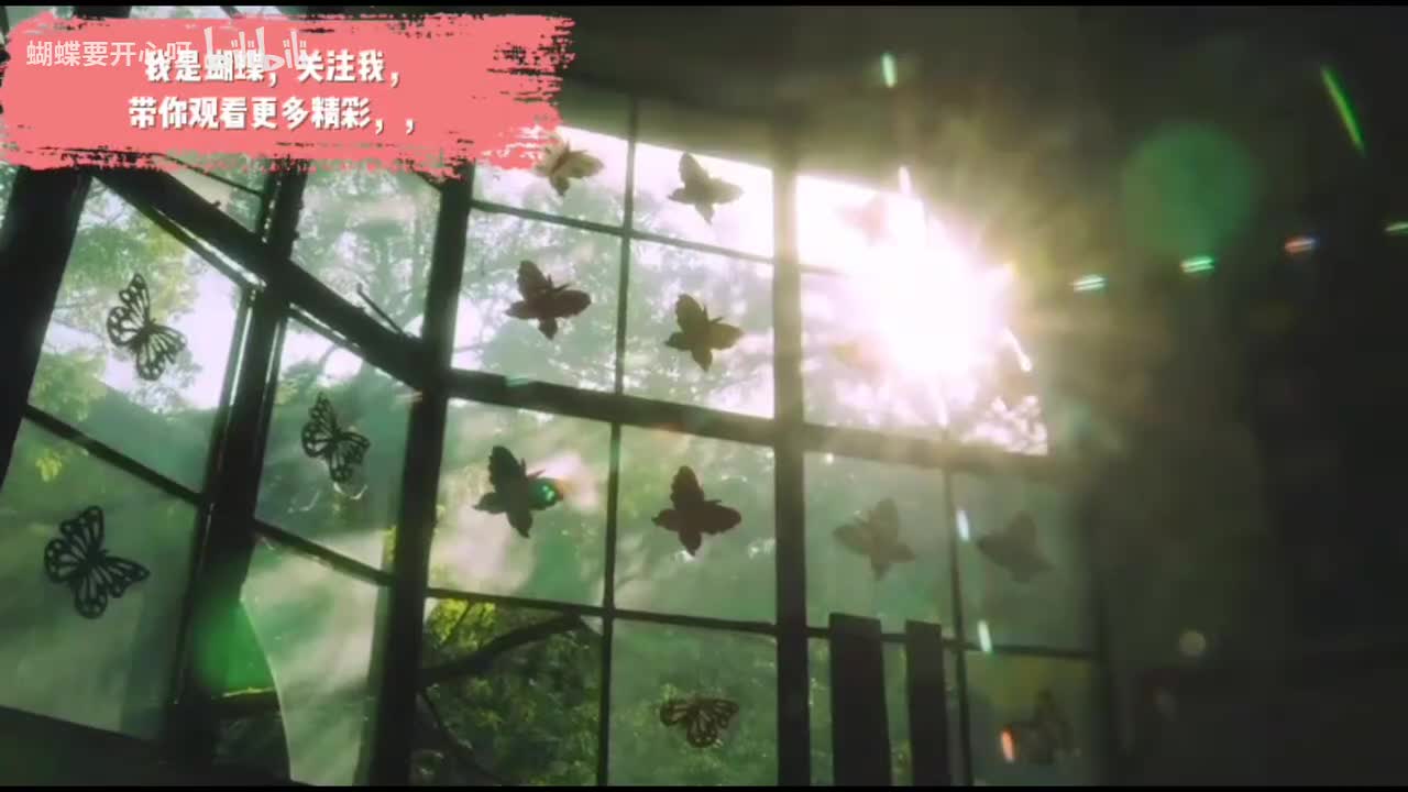 关注投币，爱你们呀