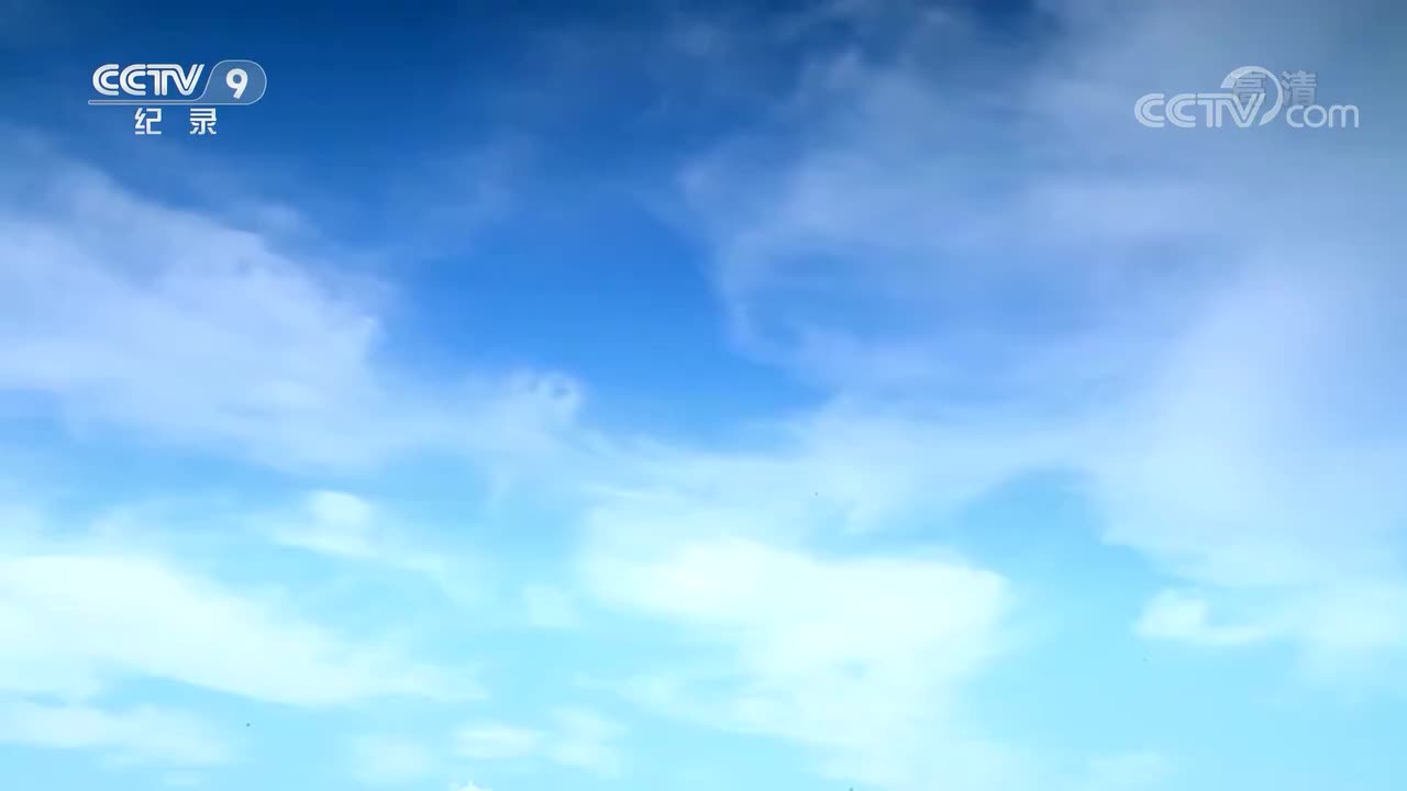 【第三集】双窟背后