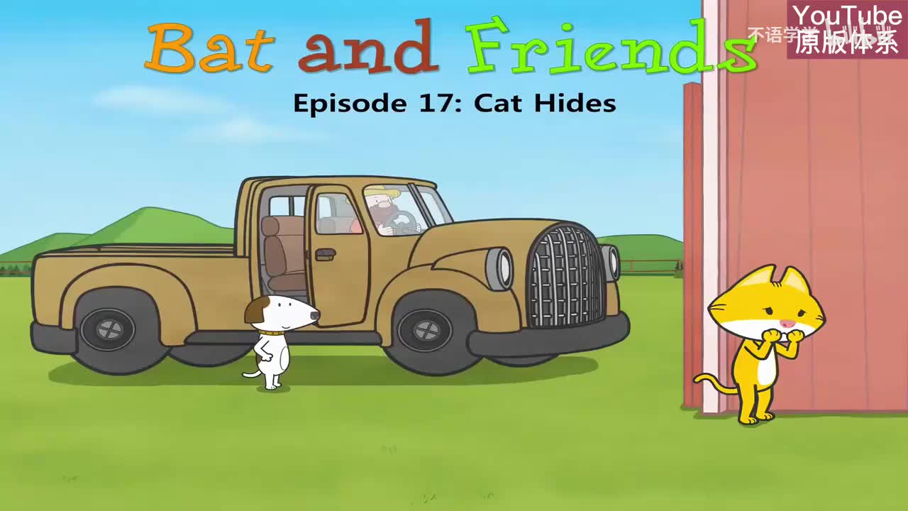 17-Cat Hides-