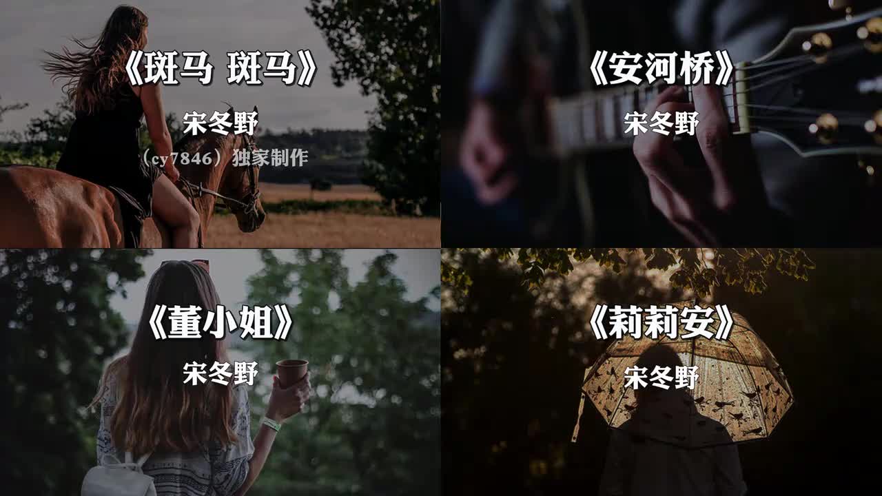 宋胖子音乐合集来了，#斑马斑马 #董小姐 #安河桥 #莉莉安 #戴上耳机35