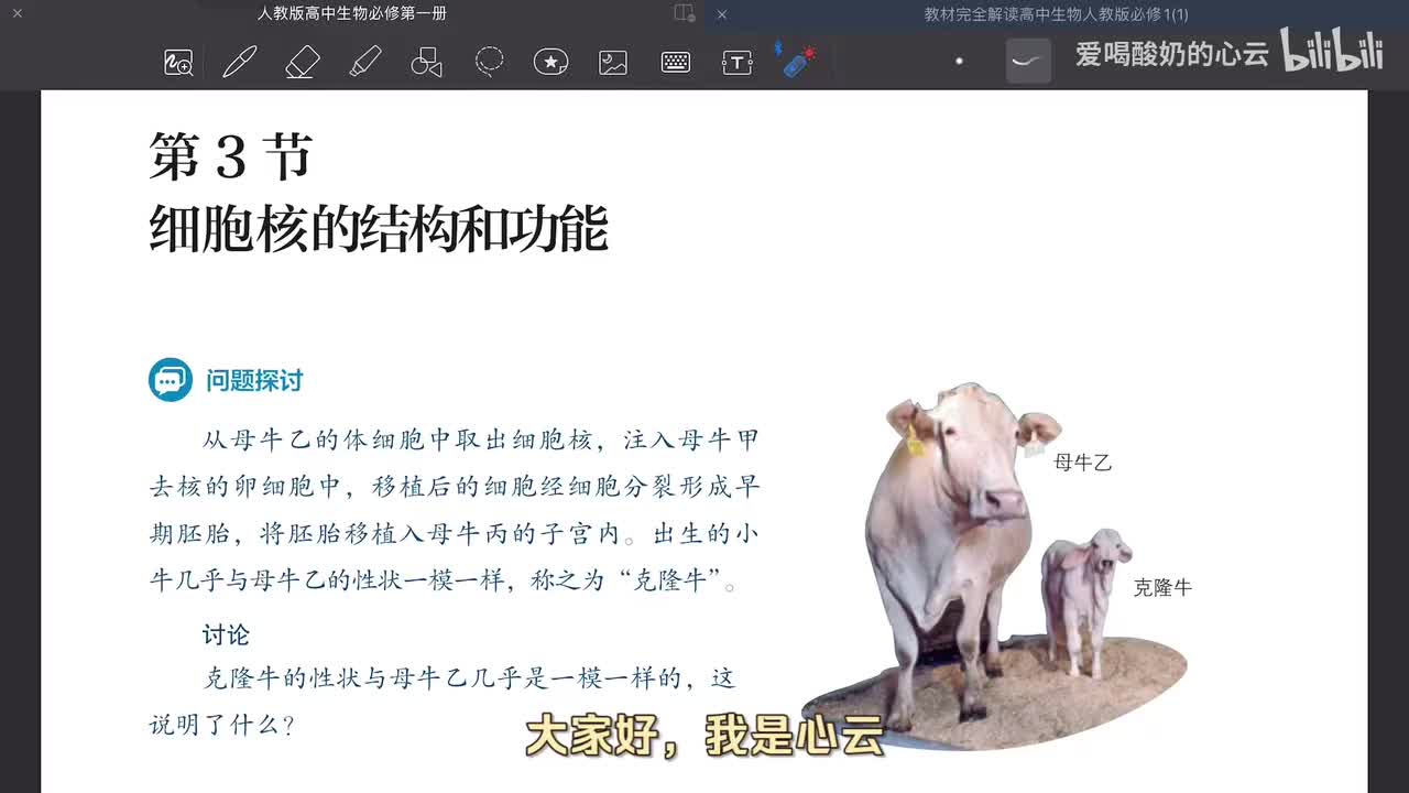 3.3 细胞核的结构和功能