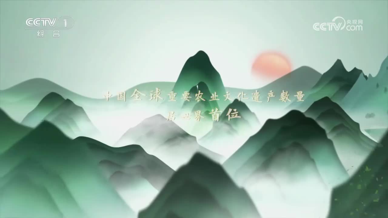第17集 中国南方山地稻作梯田系统