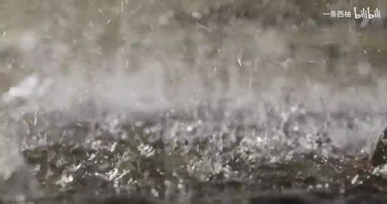雨中氛围感 (29)