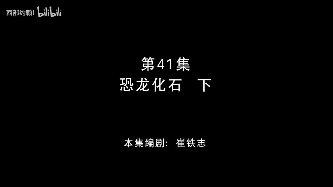 41.恐龙化石下
