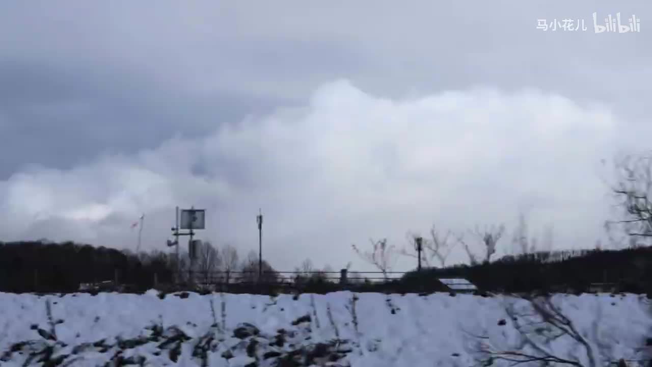 冬華色_最终版2