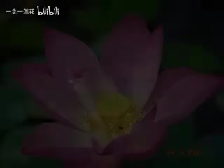 楞严经修学应用1