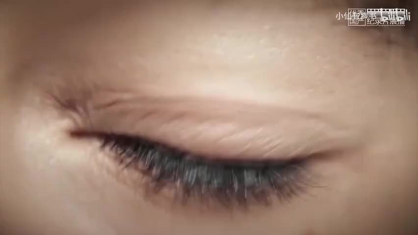 第五集 知本时代（上）