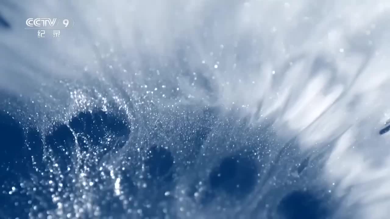 第5集：曾拍出超2亿天价的青色瓷器