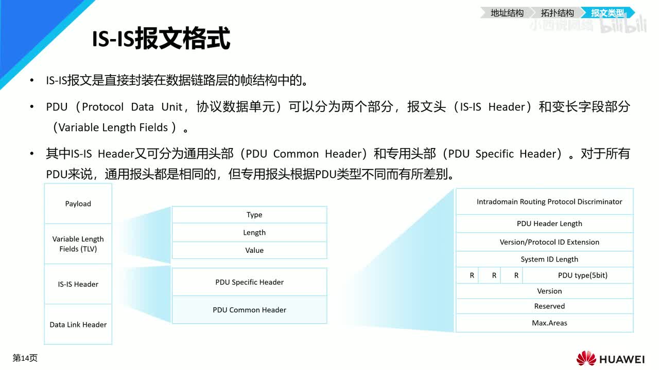 【网工进阶篇】01 IS-IS基本概念（报文类型）