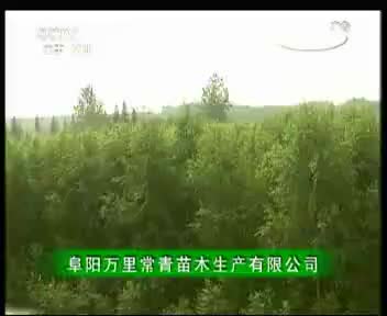 万里常青 2012.10.26