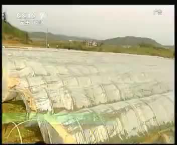 宏远喀斯特 2012.4.18