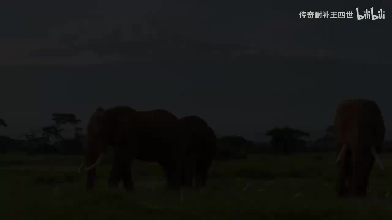 谢谢观看，每周更新