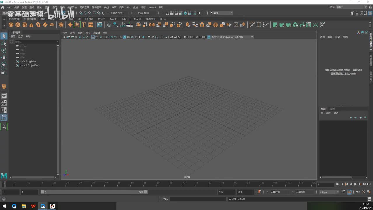 maya基础-视图操作和显示