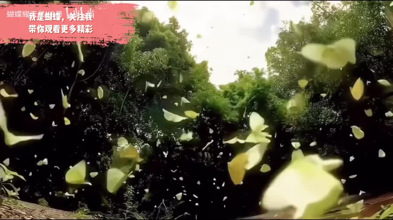 点赞投币，爱你们哦