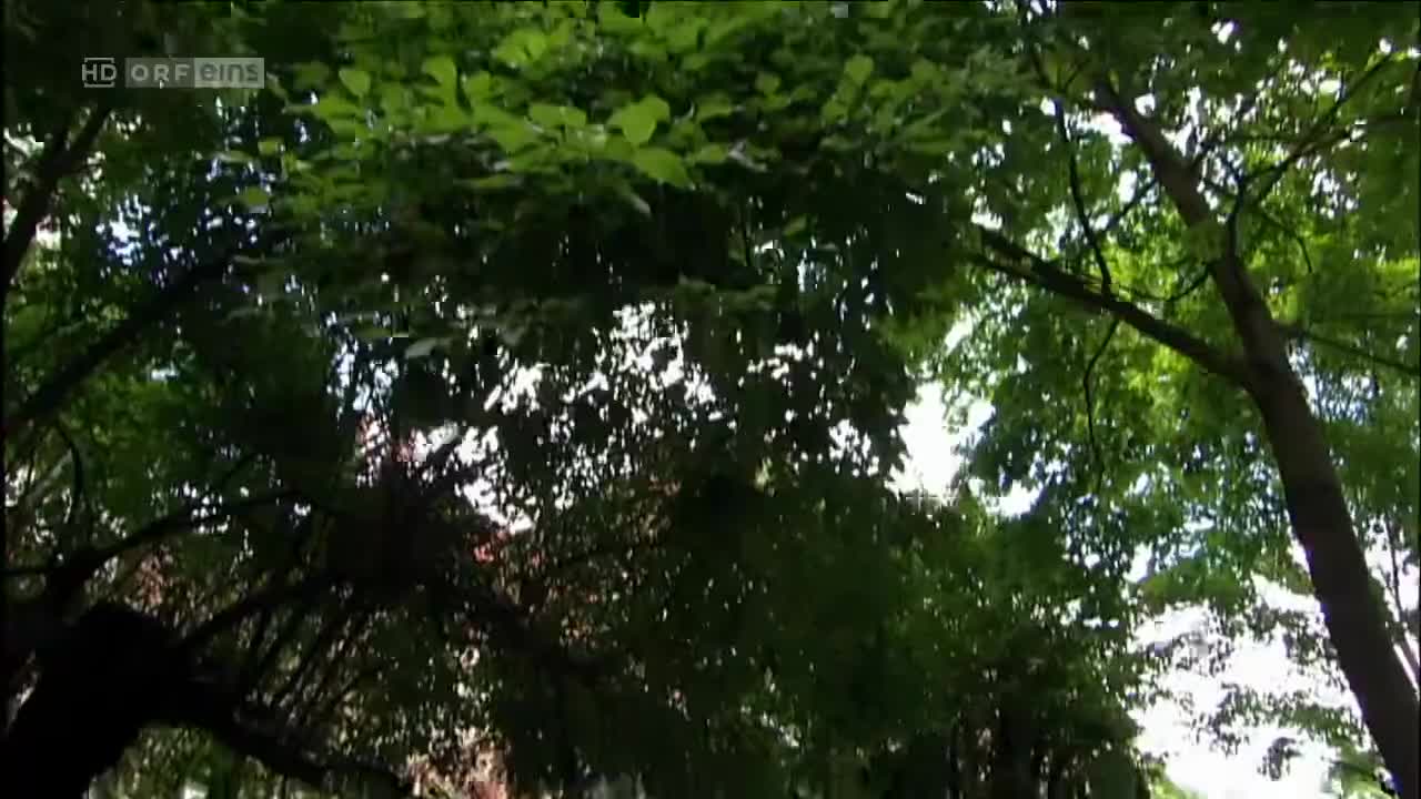 Türkisch für Anfänger (Season 2 Episode 6) Watch German TV series (German Subtit