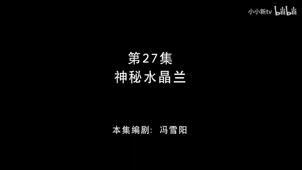 神秘水晶兰27