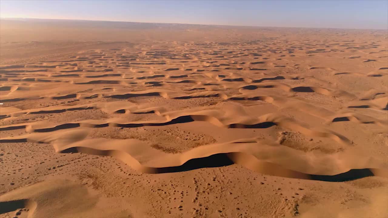 Amazing China 美丽中国 41.沙漠里最忠实的伙伴