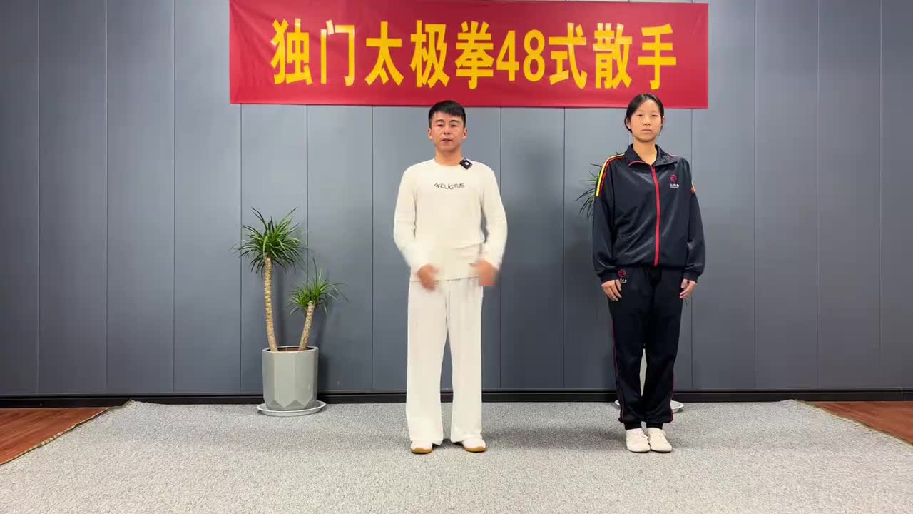 第83节掩手肱拳—周身配合