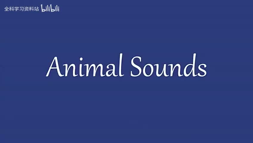 015 Animal sounds