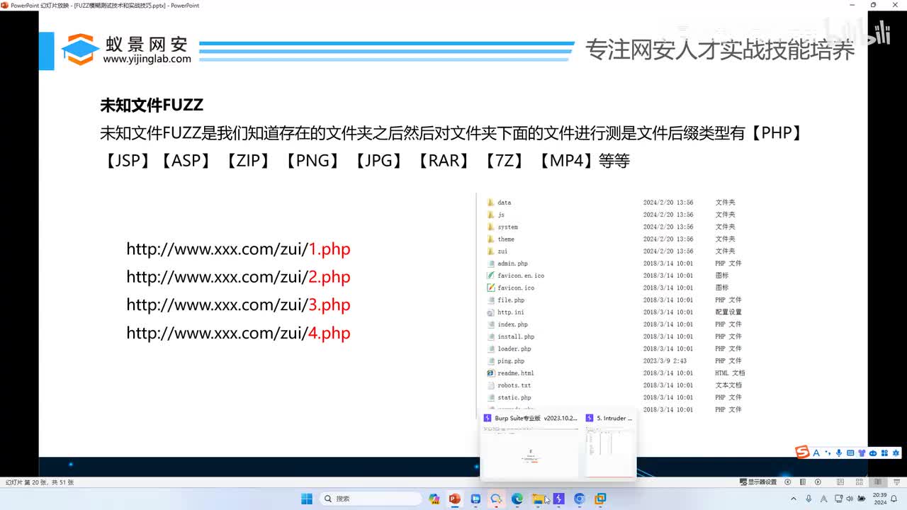 未知文件漏洞中的fuzz