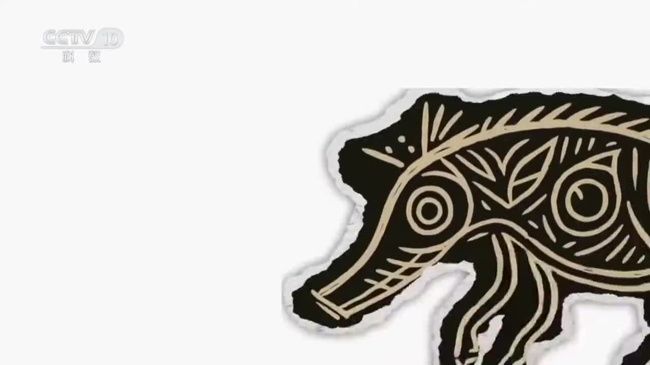 《动物驯化简史》蜂：一场跨越物种的伟大合作 人类与蜜蜂共筑甜蜜丰收【CCTV纪录】