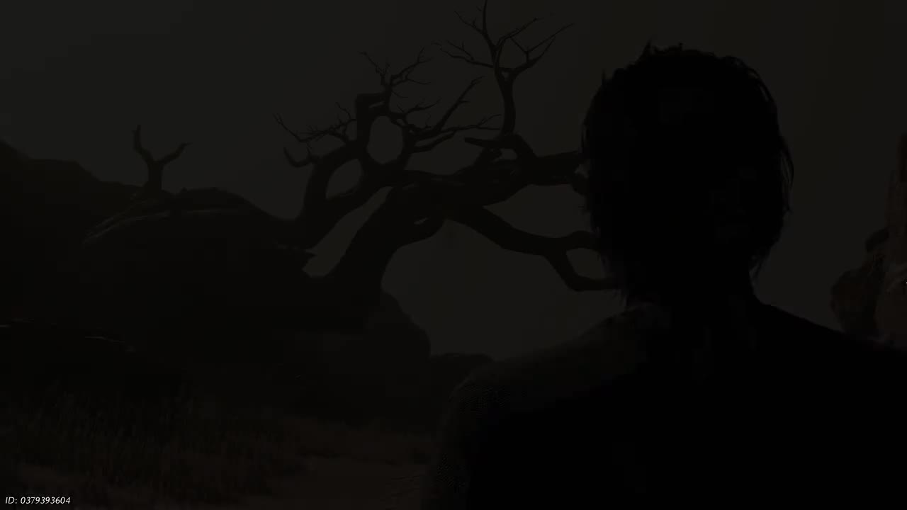 第三章凉州曲壹