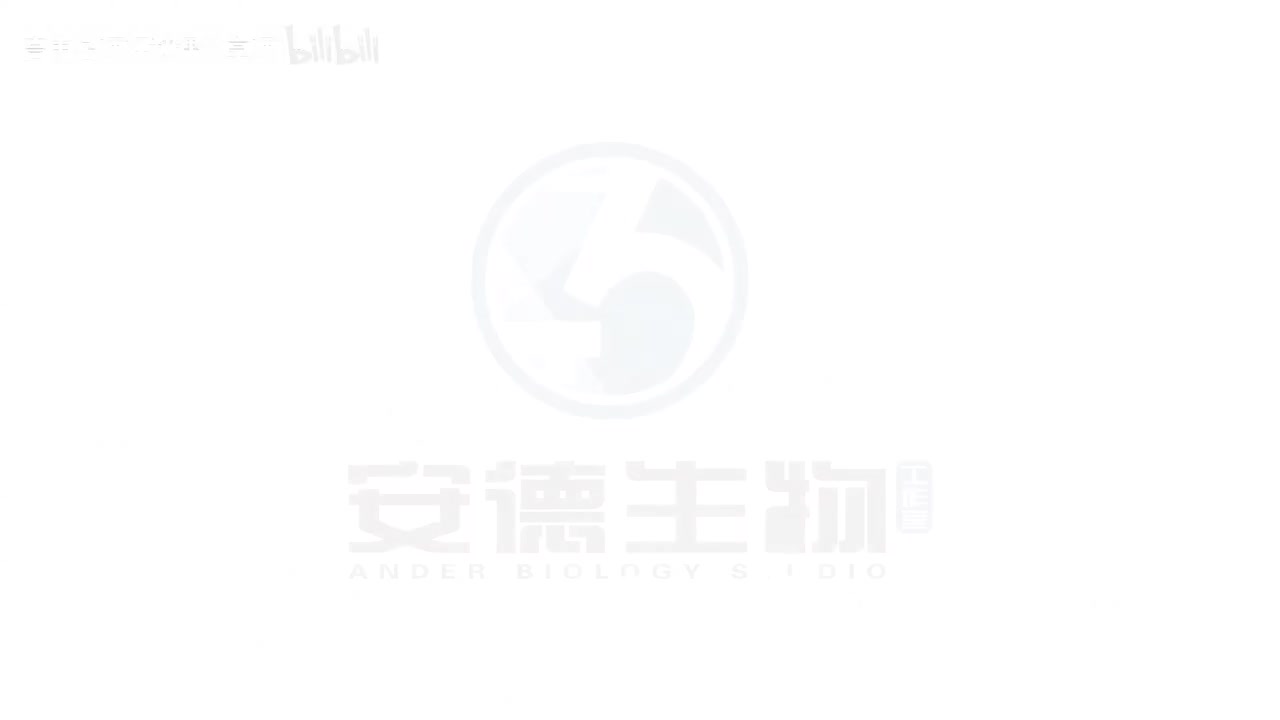 23.DNA的结构与复制