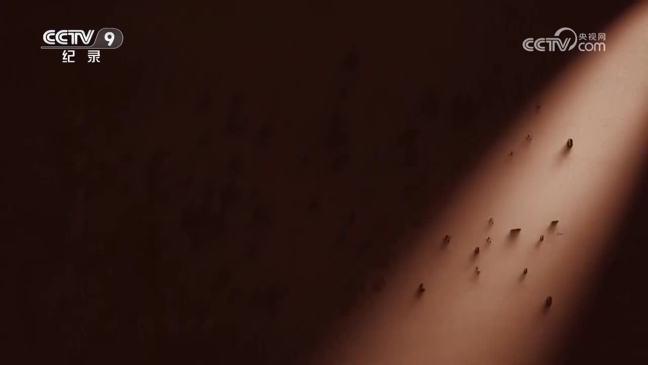 第6集 宝塔山下