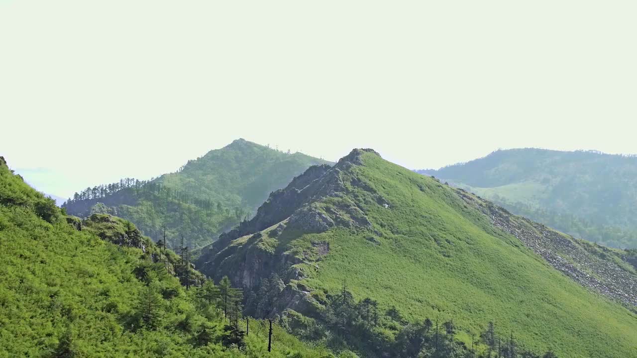 Amazing China 美丽中国 30.牛还是羊