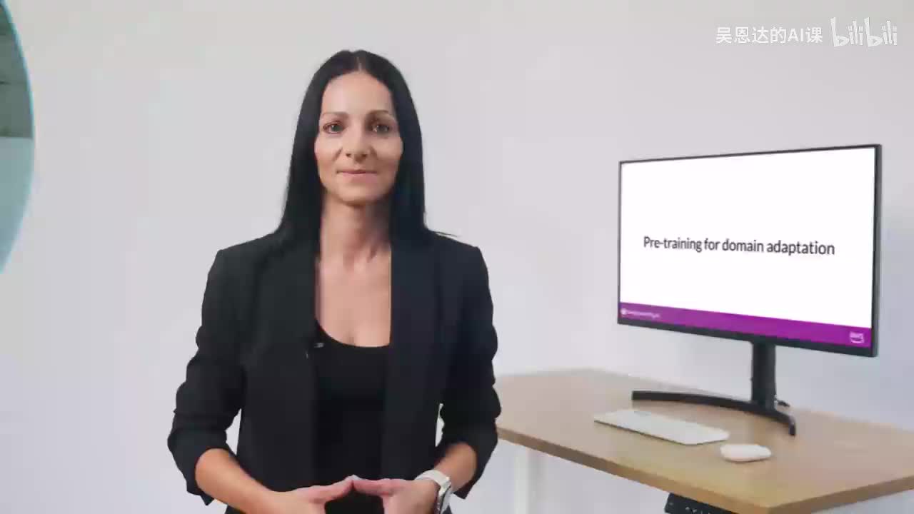 17.领域适应的预训练