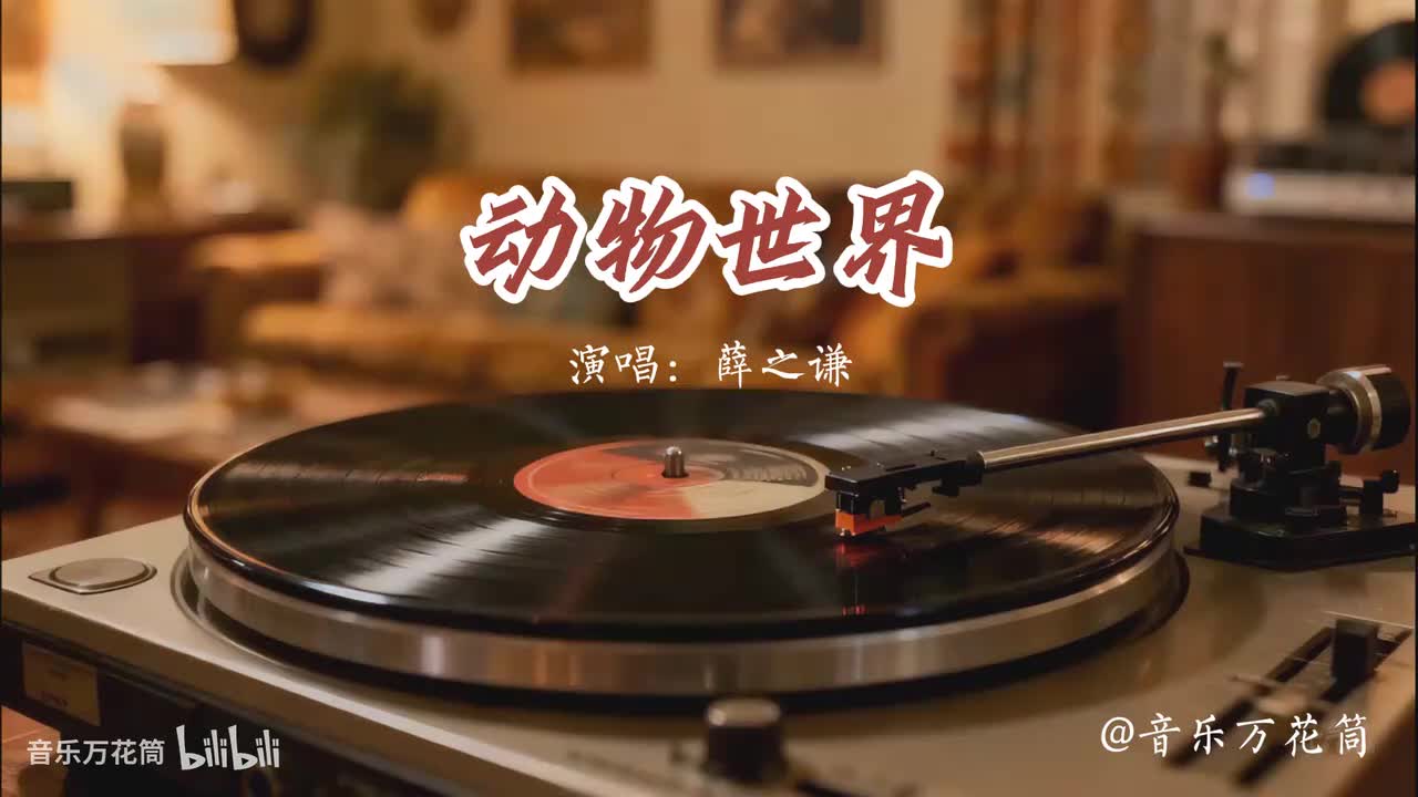 11. 动物世界-薛之谦