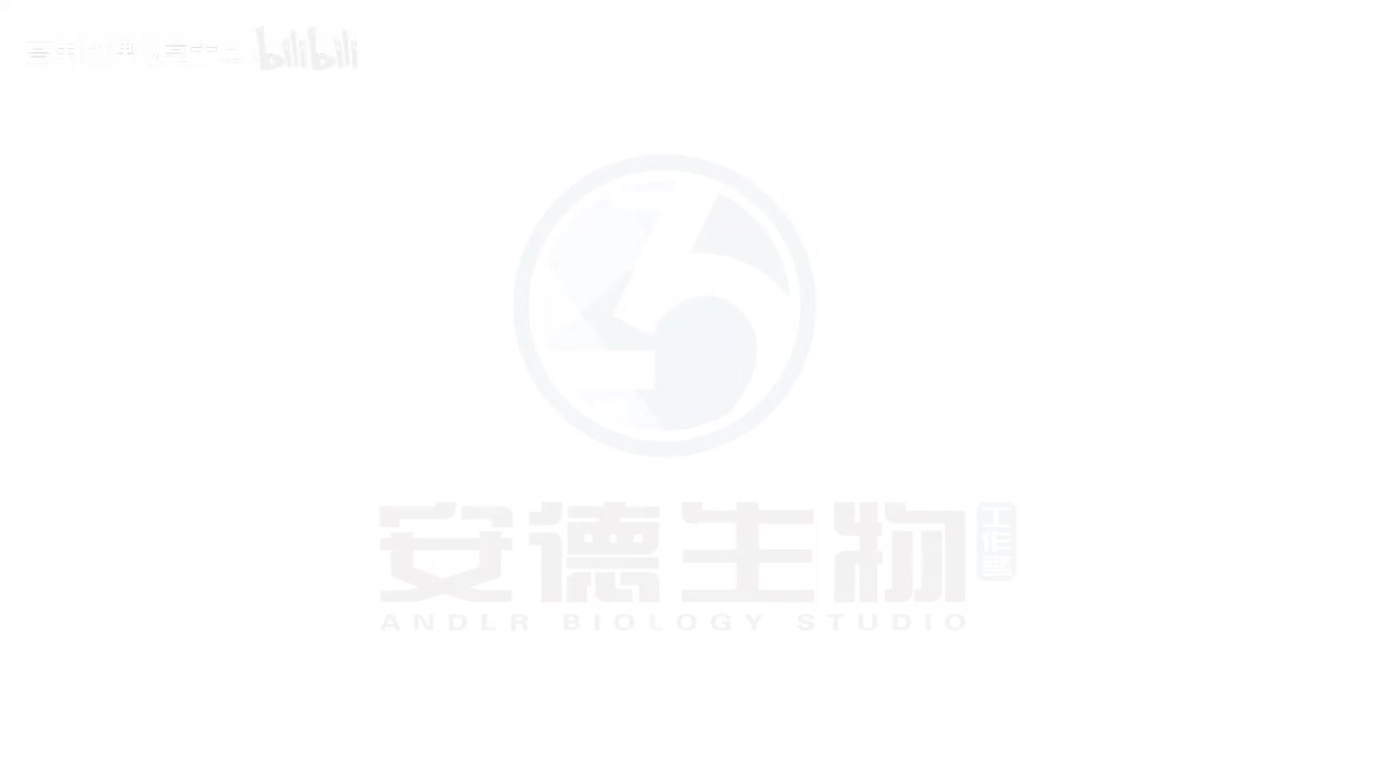 28.内环境及稳态