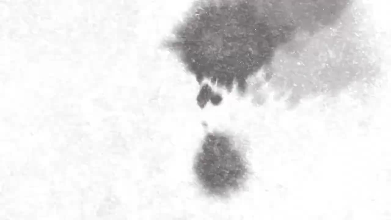 35.【四下同步作文】第四单元：我的动物朋友(