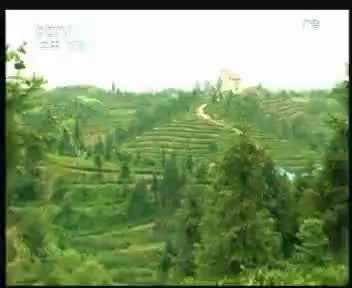申林 2011.12.26
