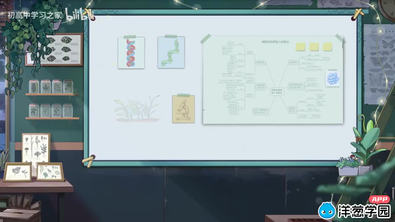 11 人体的免疫作用