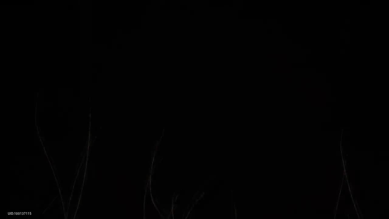 【3.6 开拓】翁法罗斯英雄纪（官方链接: BV1R5JyzJE9Y）