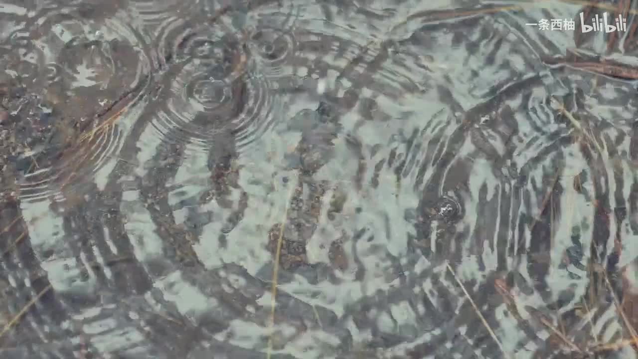 雨中氛围感 (76)