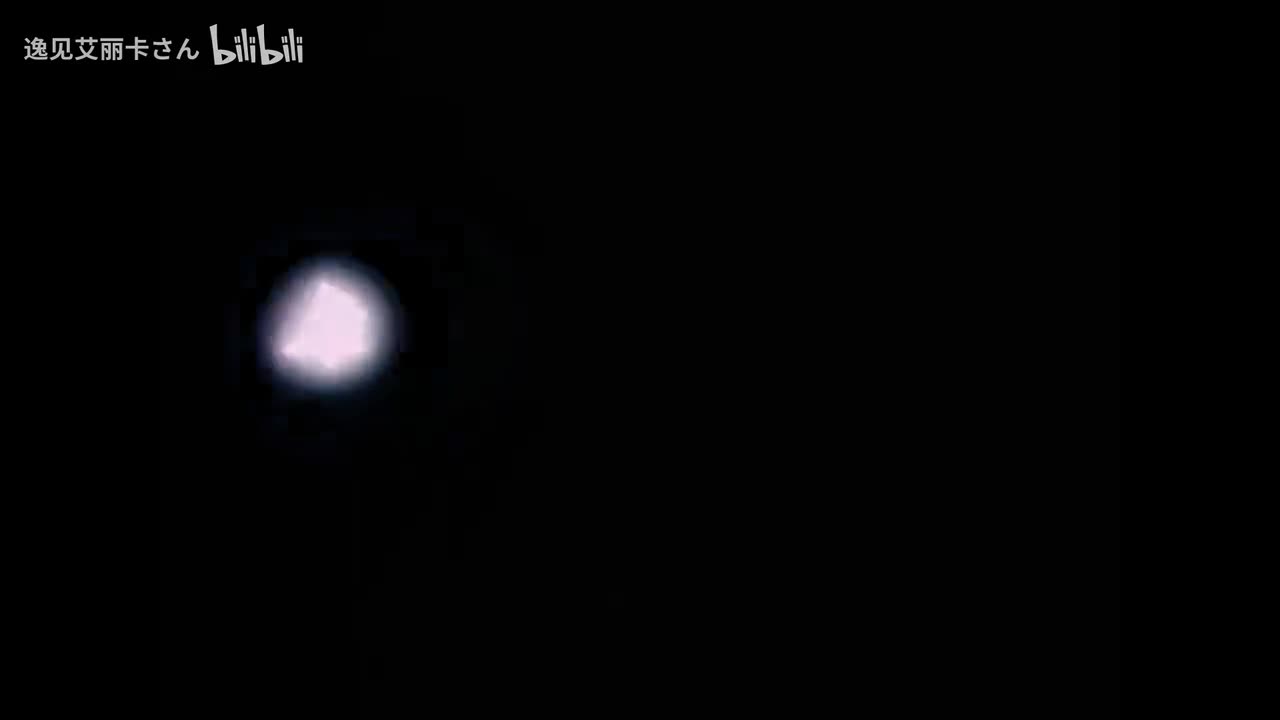 第80话 小蜜蜂的家园