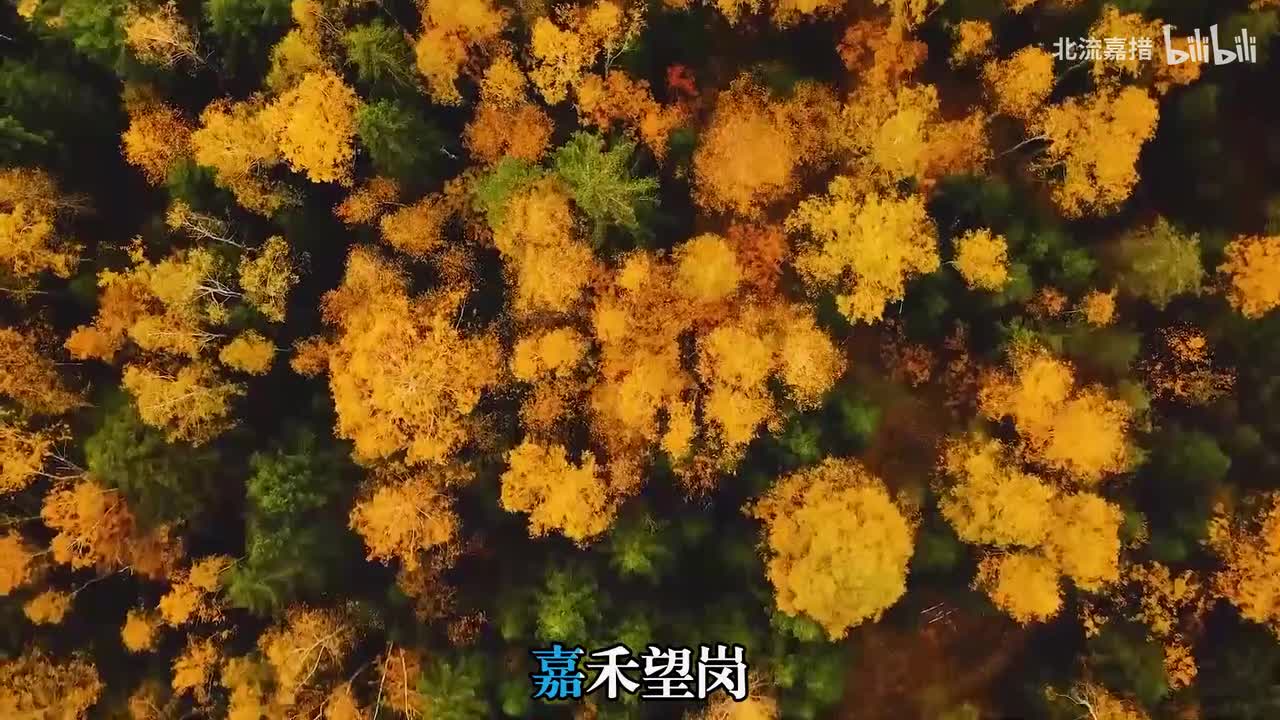 03.嘉禾望岗 - 海来阿木