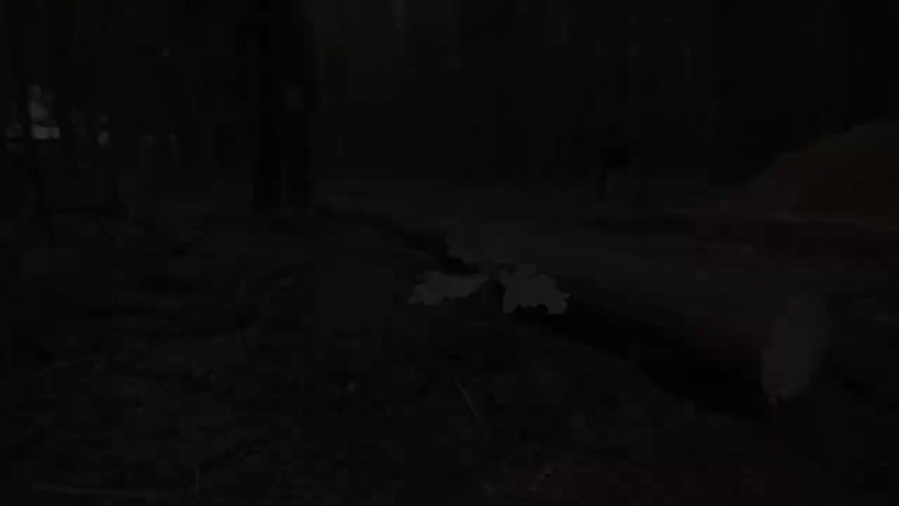 野外户外森林中搭建庇护所小木屋8 - Dugout shel_爱给网_aigei_com